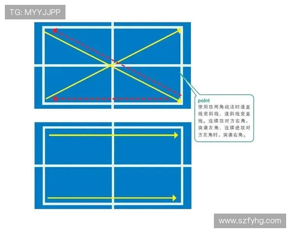 杭州乒乓球队在锦标赛中的战术运用与表现分析